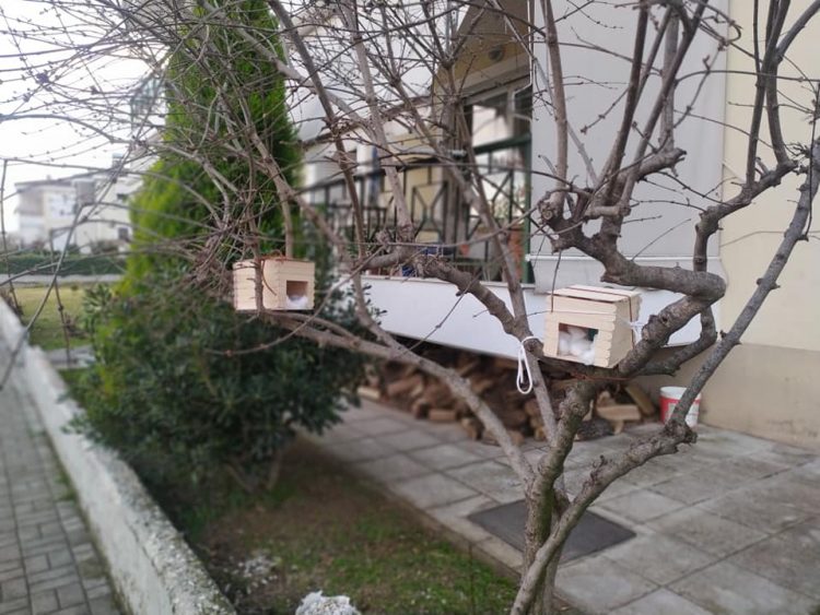 Τρίκαλα: 13χρονος κατασκευάζει φωλιές σε δέντρα για να προστατευτούν τα πουλιά από την κακοκαιρία