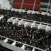 Ψάχνοντας για δουλειά στην Κίνα