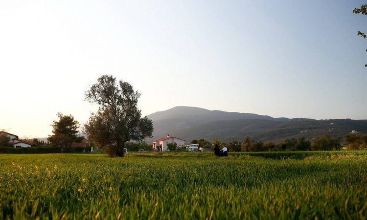 Καιρός: Αλκυονίδες μέρες – Με λιακάδα και άνοδο της θερμοκρασίας η Πέμπτη (pics)