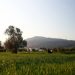 Καιρός: Αλκυονίδες μέρες – Με λιακάδα και άνοδο της θερμοκρασίας η Πέμπτη (pics)