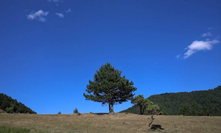 Καιρός τώρα: Με ήλιο και ενισχυμένους βοριάδες η Τετάρτη – Στους 20 βαθμούς η θερμοκρασία