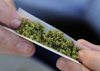 Σύλληψη στα Τρίκαλα για κατοχή κάνναβης