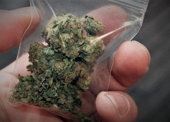 Σύλληψη για κάνναβη σε περιοχή του Δήμου Μετεώρων