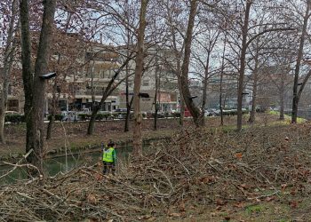 Περισσότερα από 200 μεγάλα δέντρα και 2.000 μικρότερα κλάδεψε η υπηρεσία πρασίνου του Δήμου Τρικκαίων το 2020