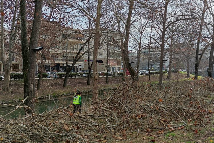 Περισσότερα από 200 μεγάλα δέντρα και 2.000 μικρότερα κλάδεψε η υπηρεσία πρασίνου του Δήμου Τρικκαίων το 2020