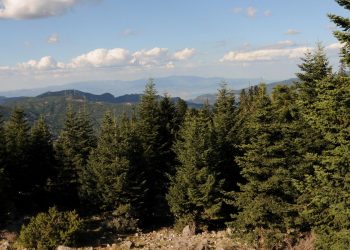 Διαδικτυακή εκδήλωση Παγκόσμιας Ημέρας Δασών 19.3.202
