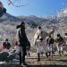 Η τέχνη του δρόμου στα Τρίκαλα-Την Παρασκευή από την ΕΡΤ3