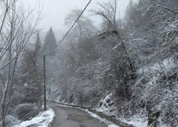 Συνεχίζονται οι χιονοπτώσεις στα ορεινά του ν. Τρικάλων (βίντεο)