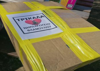 Μαθήματα αλληλεγγύης από νηπιάκια στα Τρίκαλα για τους σεισμόπληκτους