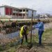 Δενδροφύτευση σε Πυργετό και Αγιαμονιώτη