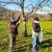 Προστασία της καστανοκαλλιέργειας από την Περιφέρεια Θεσσαλίας