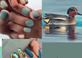 #Teal το χρώμα που είναι τάση για τα νύχια σου πήρε το όνομά του από ένα πτηνό!