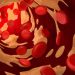 Χοληστερόλη LDL, HDL, VLDL, ολική: Ποιες είναι οι φυσιολογικές τιμές