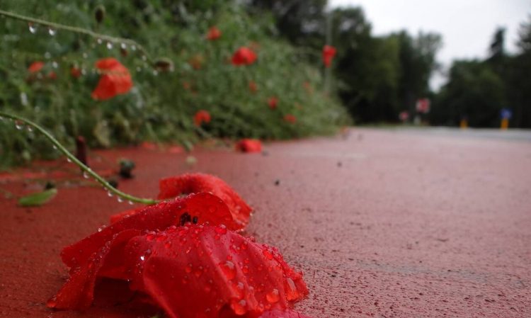 Καιρός – Μαρουσάκης: Χωρίζεται ξανά η χώρα στα δύο – Άνοιξη και χειμώνας μαζί