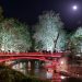 «Ροζ» φεγγάρι στα Τρίκαλα (φωτό Τρίκαλα-Μετέωρα και γέφυρα Σαρακίνας)-Ακολουθεί η πρώτη υπερπανσέληνος του 2021