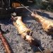 Πότε πέφτει το Πάσχα – Ποια είναι η επόμενη αργία για το 2021