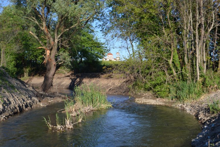 Ο Αγιαμονιώτης ένωσε τους Τρικαλινούς