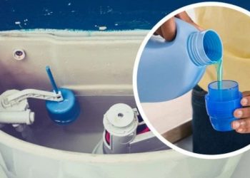 10 κόλπα για να εξαφανίσετε τις δυσάρεστες οσμές στο μπάνιο και να το κάνετε να μυρίζει πάντα υπέροχα