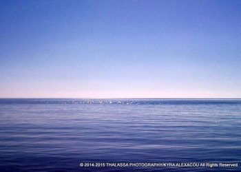 17χρονη επιβίωσε στη θάλασσα τρεις εβδομάδες χωρίς νερό και τροφή