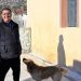 Έκκληση να σωθεί ο «Άλεξ», ο σκύλος που έσωσε τους ιδιοκτήτες του από το μεγάλο σεισμό της 3ης Μαρτίου