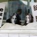 Bed In: Η πιο διάσημη αντιπολεμική διαμαρτυρία από τον John Lennon και τη Yoko Ono