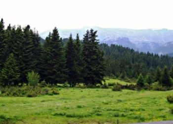 ”…Εκεί που φύτρωνε φλισκούνι κι άγρια μέντα, τώρα παζαρεύουν τα τσιμέντα…”