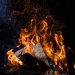 Φωτιά στην Κορινθία: «Σκοτείνιασε» η Αττική – Στάχτες στα μπαλκόνια, κάπνα στον ουρανό