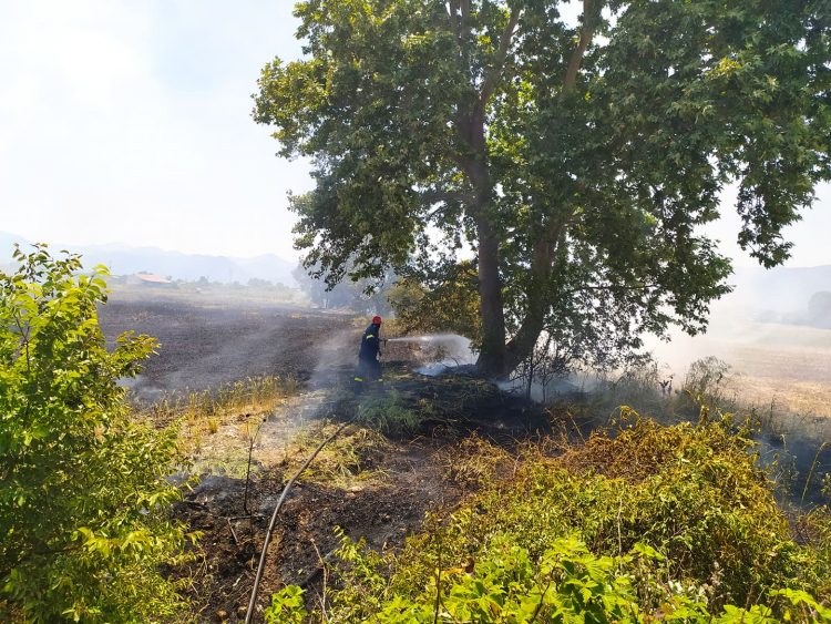 Μεγάλη φωτιά στη Σωτήρα (φωτό)