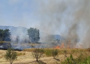 Μεγάλη φωτιά στη Σωτήρα (φωτό)