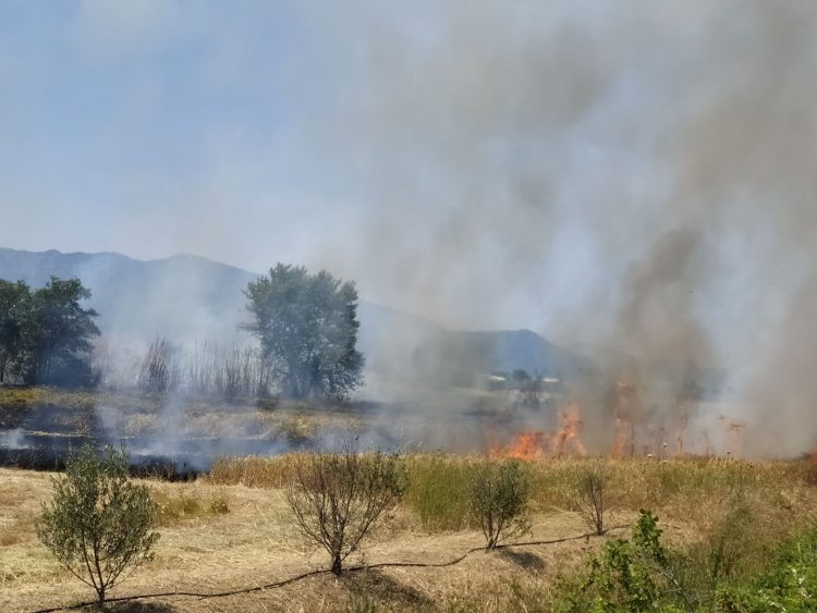Μεγάλη φωτιά στη Σωτήρα (φωτό)