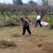 Υπενθύμιση του Δ. Τρικκαίων για τον καθαρισμό ιδιωτικών οικοπέδων