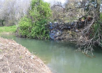 «Αν ουρείς στην θάλασσα , θα τα βρεις στ΄ αλάτι»