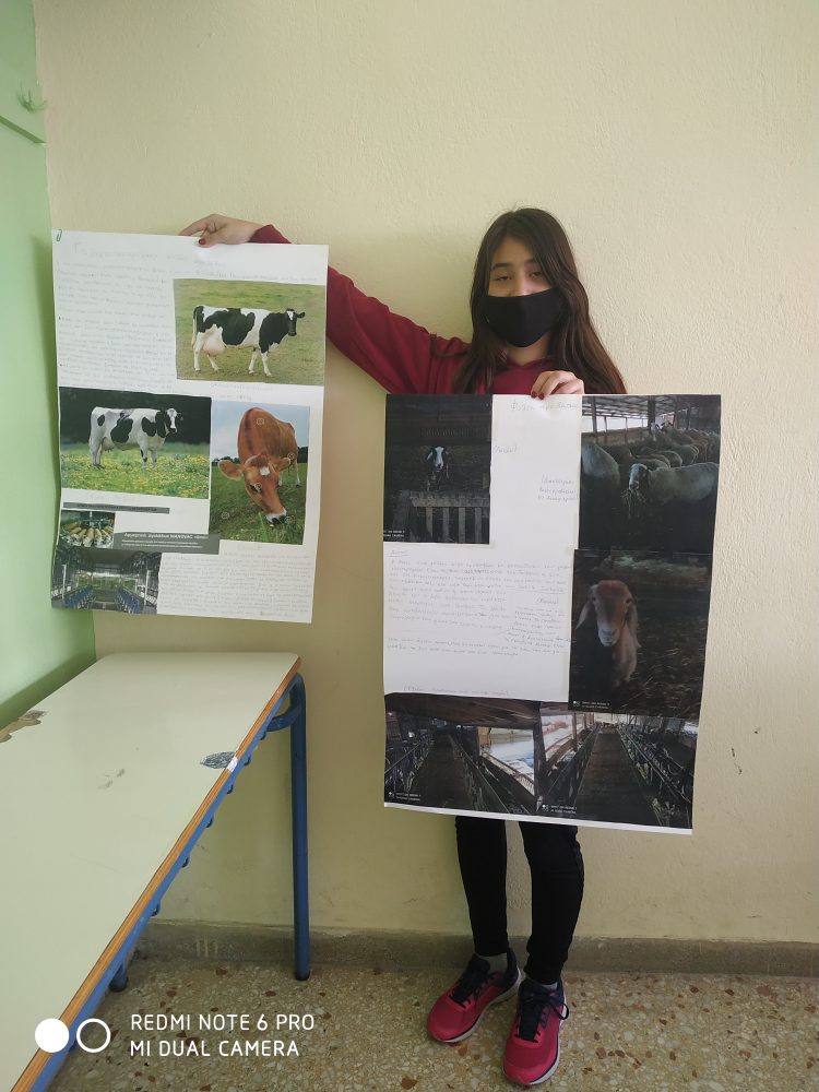 Συμμετοχή 5ου Γυμνασίου Τρικάλων στο BravoSchools
