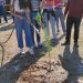Δεντροφύτευση στο Κέντρο Υγείας Φαρκαδόνας στα πλαίσια της παγκόσμιας ημέρας περιβάλλοντος