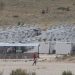 Συναγερμός για φωτιά στη δομή του Κουτσόχερου