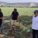 Δήμος Φαρκαδόνας-Ολική καταστροφή σε καλλιέργειες των Δ.Ε. Πελινναίων και Οιχαλίας από την σφοδρή χαλαζόπτωση του Σαββάτου 20 Ιουνίου 2021