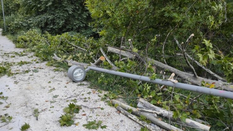 Πτώση κλαδιών και δέντρου από το ξαφνικό μπουρίνι στα Τρίκαλα