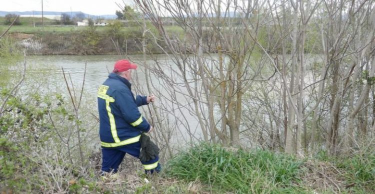 Ψάχνουν συνταξιούχο δασκάλα που αγνοείται στον Πηνειό – Μεγάλη κινητοποίηση