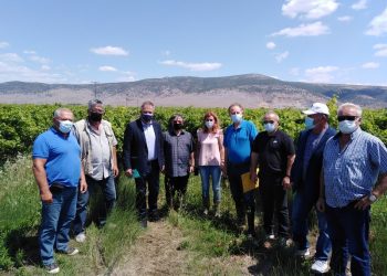 Βαμβάκι, πεπονοειδή κι αμπέλια επλήγησαν από τη χαλαζόπτωση στη Φαρκαδόνα-Αυτοψία Μιχαλάκη στις χαλαζόπληκτες περιοχές