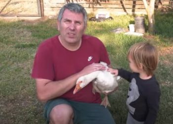 Η γηραιότερη χήνα στον κόσμο είναι 38 ετών, ζει στην Πηνειάδα Τρικάλων και διεκδικεί μια θέση στο βιβλίο γκίνες!!!
