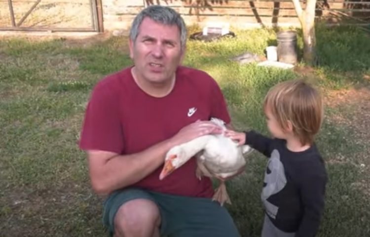 Η γηραιότερη χήνα στον κόσμο είναι 38 ετών, ζει στην Πηνειάδα Τρικάλων και διεκδικεί μια θέση στο βιβλίο γκίνες!!!