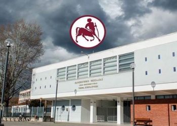 Κακοποίηση ζώων: Συνεργασία υπουργείου Προστασίας του Πολίτη με το Τμήμα Κτηνιατρικής του Π.Θ.