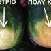 5 τρόποι για να διαλέξεις το καλύτερο καρπούζι