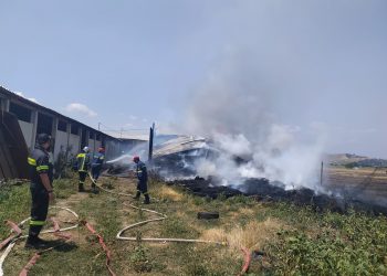 Μεγάλη φωτιά σε κτηνοτροφική μονάδα στην Μπαλκούρα (φωτό-video)