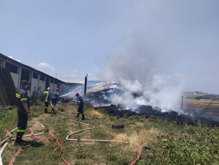 Μεγάλη φωτιά σε κτηνοτροφική μονάδα στην Μπαλκούρα (φωτό-video)