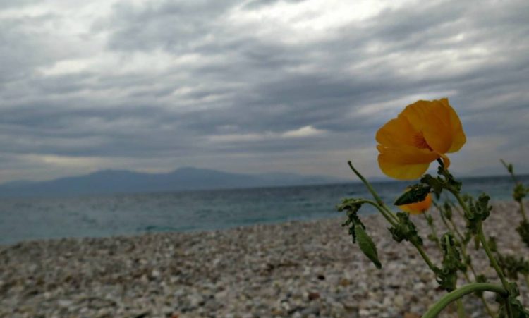 Άστατος και σήμερα ο καιρός – Σε ποιες περιοχές θα σημειωθούν έντονα φαινόμενα (χάρτες)