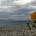 Άστατος και σήμερα ο καιρός – Σε ποιες περιοχές θα σημειωθούν έντονα φαινόμενα (χάρτες)