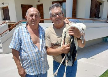 Τρίκαλα: Καρέ, καρέ η επιχείρηση διάσωσης “μωρού” πελαργού (φωτό-video)