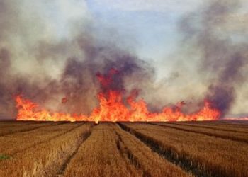 Απαγορεύονται καύση καλαμιών, απορριμμάτων, κάπνισμα μελισσιών, οξυγονοκόλληση κλπ. με το πρόστιμο να ανέρχεται σε 10.000 ευρώ