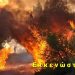 Πυρκαγιές: Στο ίδιο έργο θεατές